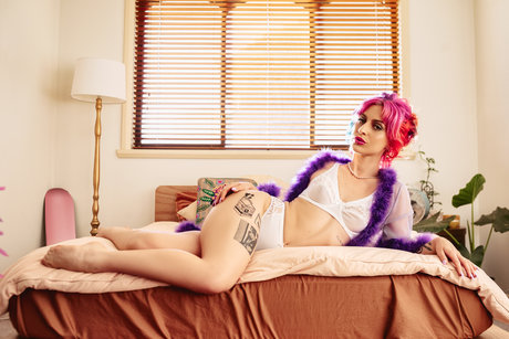 Nova Zone sexy pornstar photos