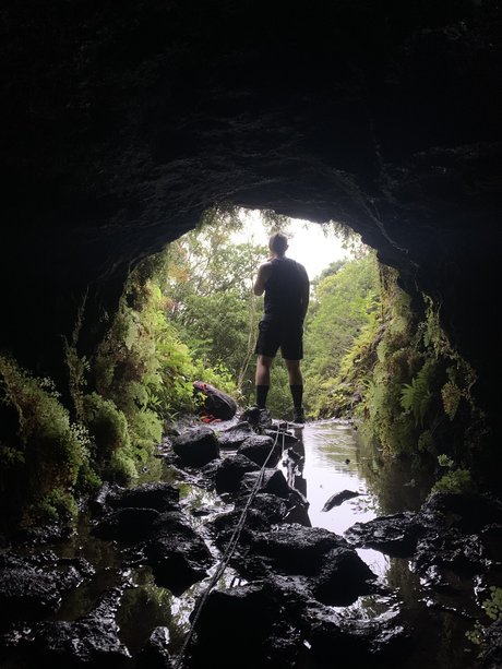 Newt pretty actress pics