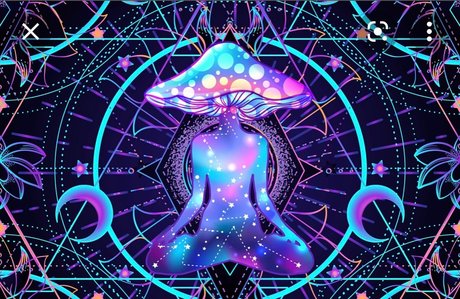 HVC model porn galleries