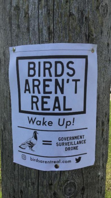 Max Pain nudes pornstar photo