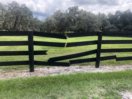 MACAROOT MIKE S BJS FREE model free img