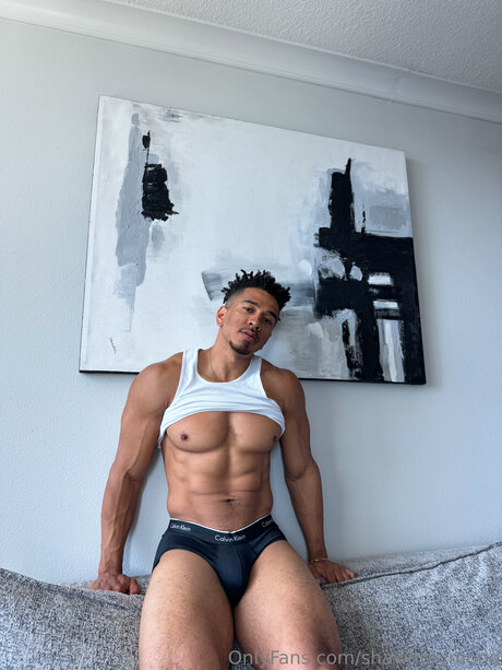 TheShawnRaymond pornographic star archive