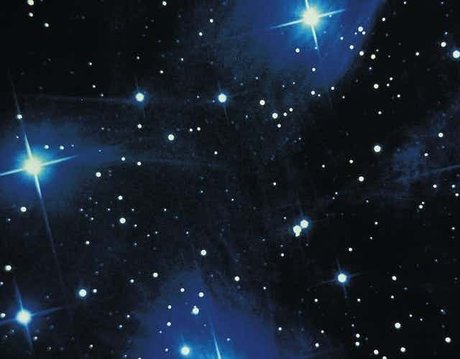 Ninni hot star photos