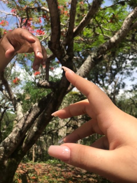 Totoro sexy star img