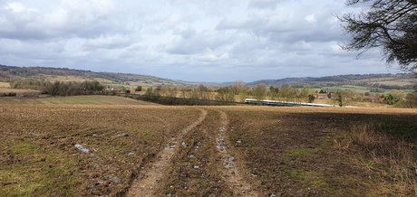 Oli Jason erotic star photo