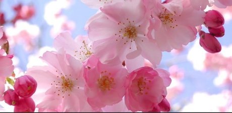 The Spider Queen star sex picture