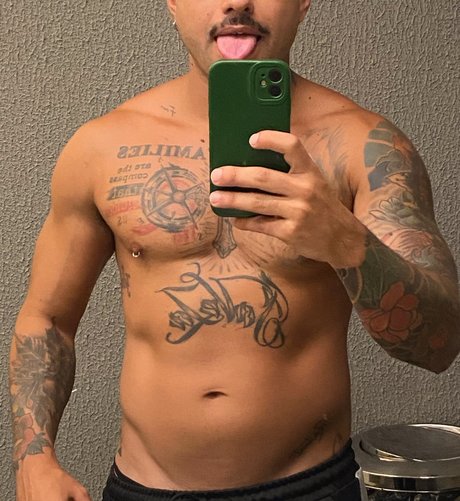 FeLL model perfect gallery