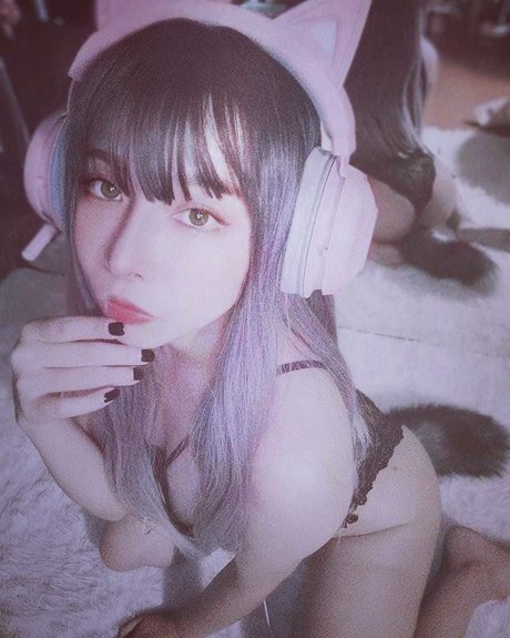 bornsinner nice star galleries