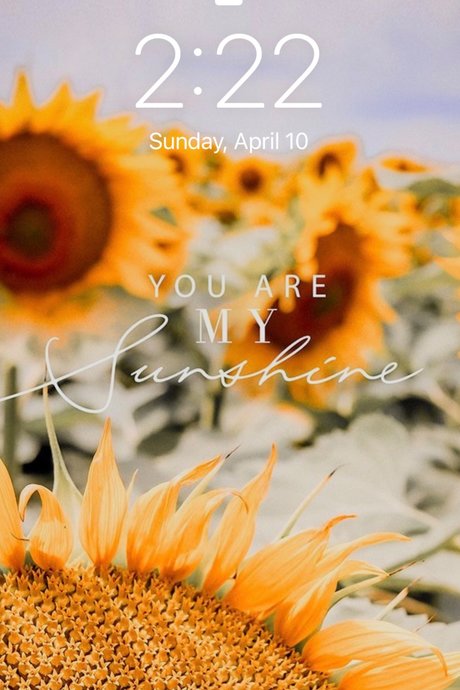 u155989845 pornstar high quality galleries