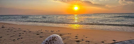 Trans witch pretty model picture