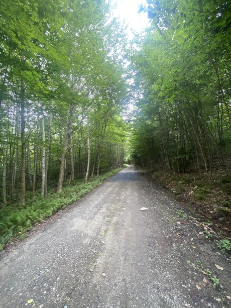 Heroe perdido9 sex actress images