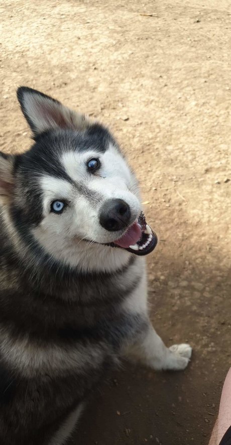 TIMEOUT TUX_ pornstar high quality pic