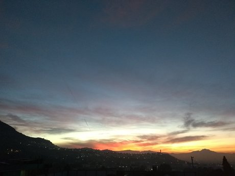 Mariposa Monarca adult model img