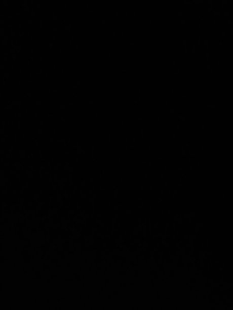 User202498 star hot img