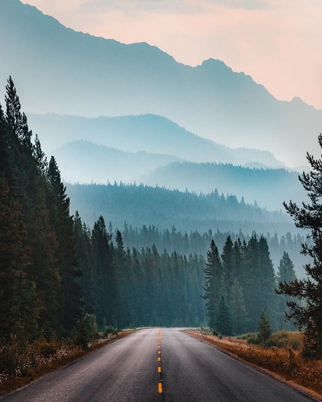 dave model free archive