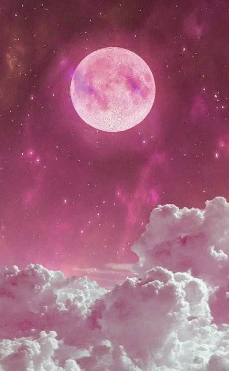 The Best hot star beautiful picture