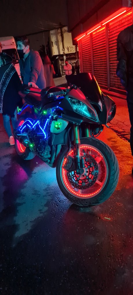 Joseph Haygen pretty actress galleries