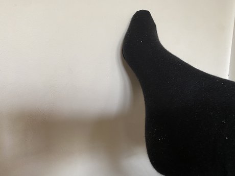 Big feet Farts and SPH DOM_ pornstar image