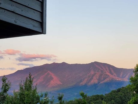 Nicole Rain model sexy pic