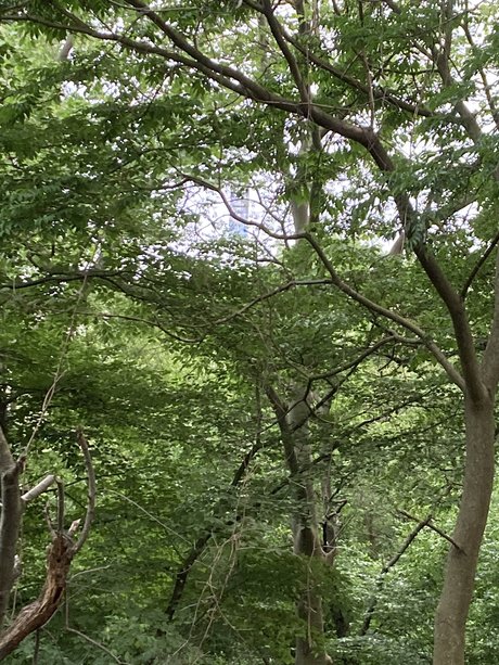 UncutNYC pornstar sexy galleries