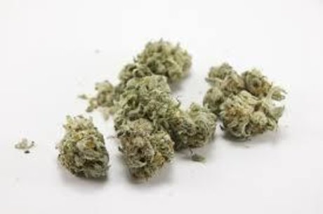 Rio Santana naked pornstar galleries