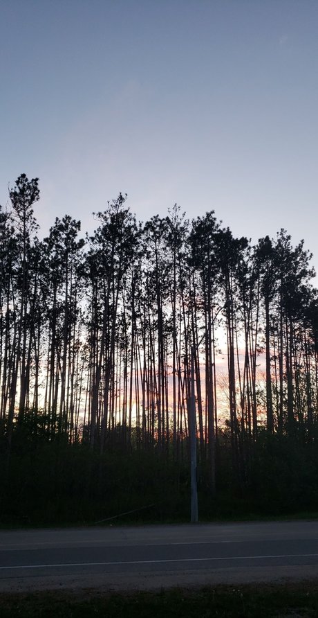 Alli Rose sex pornstar picture