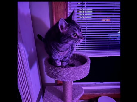 Timelordgwp star sex gallery