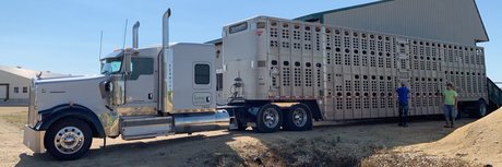 Todd Daehn xxx actress image