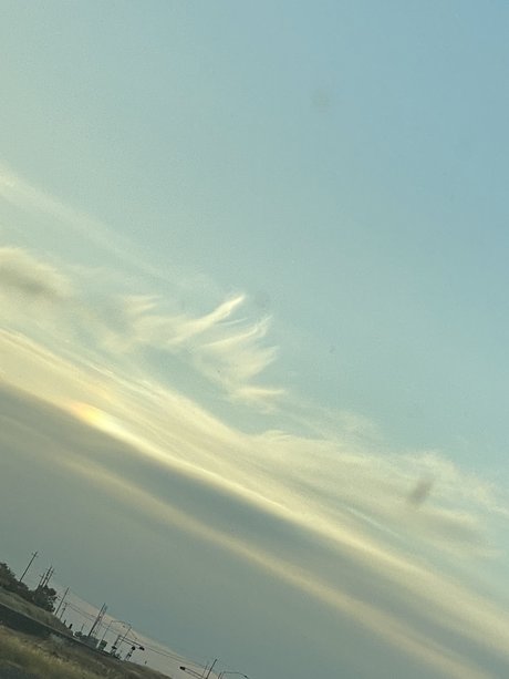 Shayla Lynn adult actress img