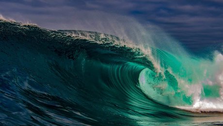 White Congo sexy model gallery