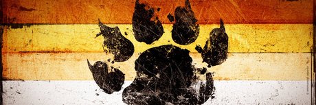 icanseequeerly top actress galleries