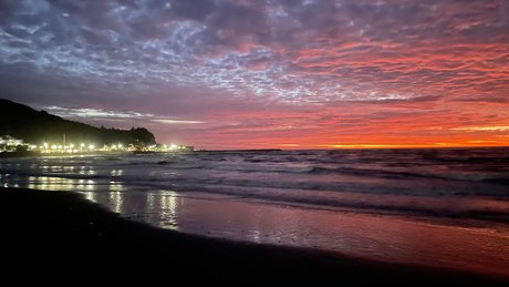 EVAN HARVEY free actress photo