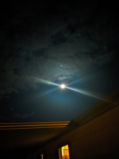 Ryan Joslin star nudes image