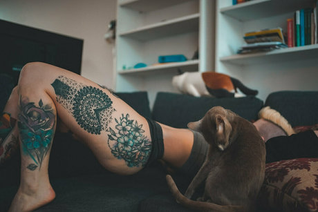 Notaprodigy pretty star gallery