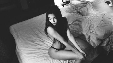 Audrey Bradford perfect star galleries