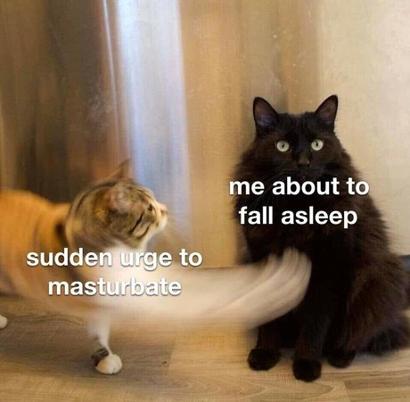 Akashakaim porn model photo