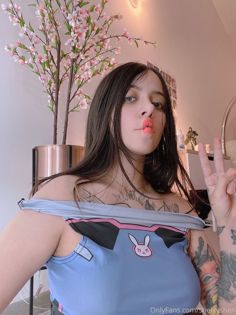 Sherryshen art star galleries