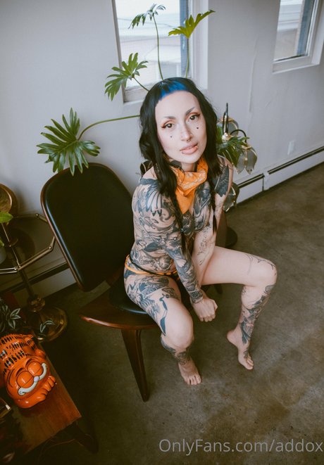 Addox erotic pornstar archive