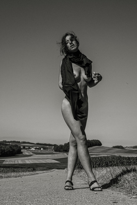 dulievre star beautiful picture