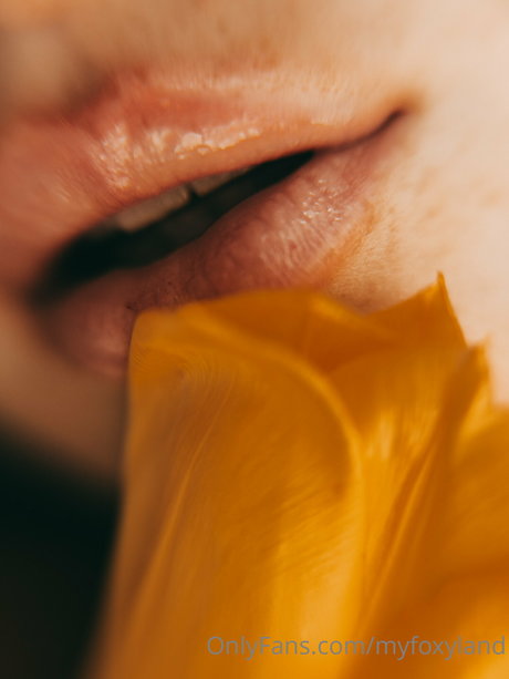 Myfoxyland model images