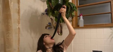 Lillyvig pornstar picture