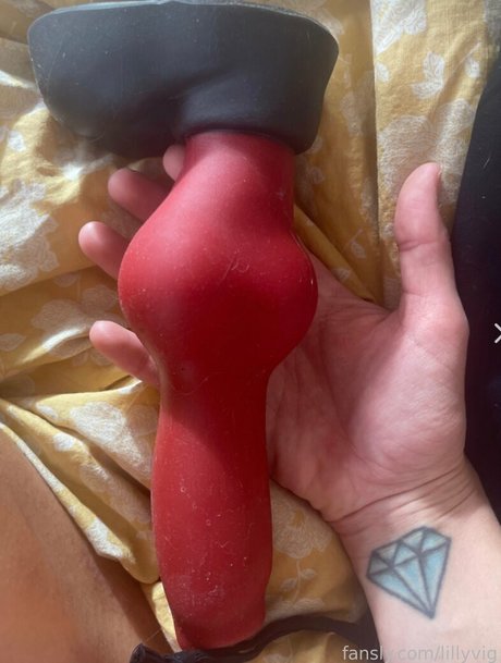 Lillyvig high quality model pic