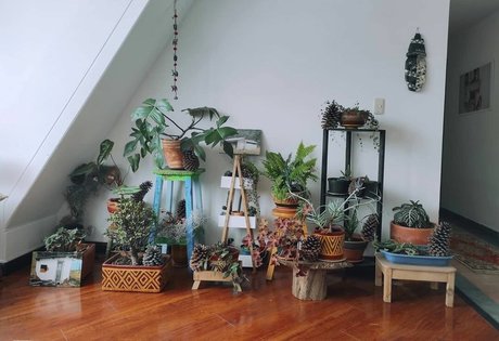 MakyMakys star free image