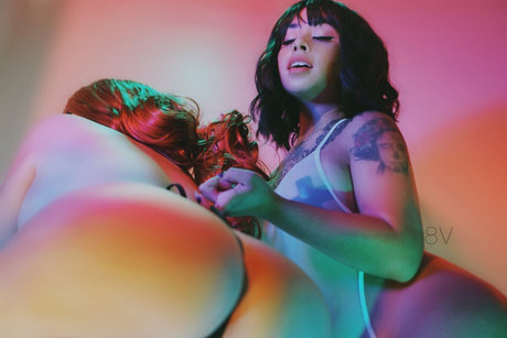 midna ash_ Profile pic