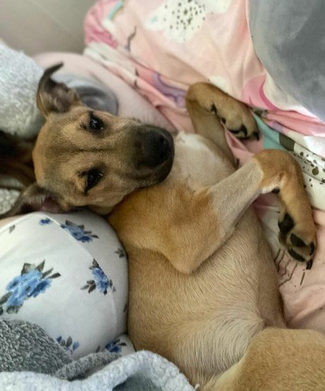 Fierceified model nude photos