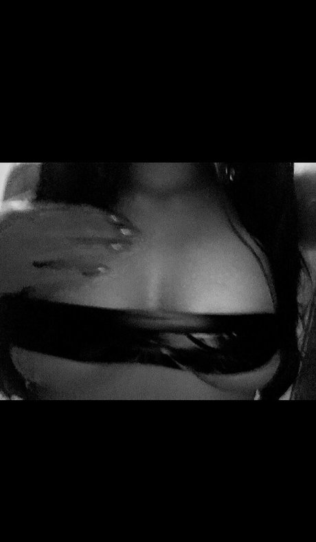 xo paris art star archive