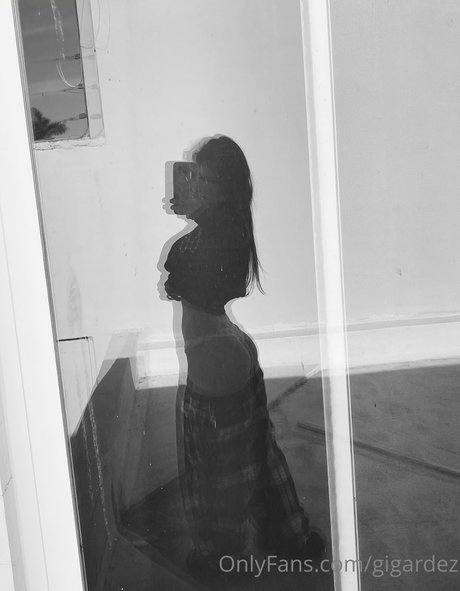 Gabygardez model top images