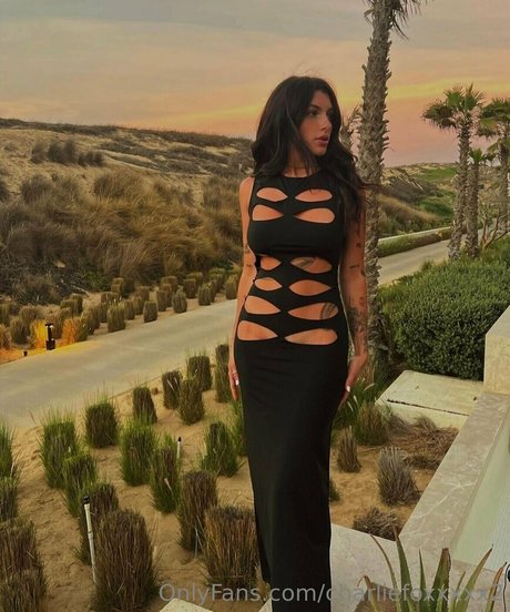 charliefoxxxxx2 model hd galleries