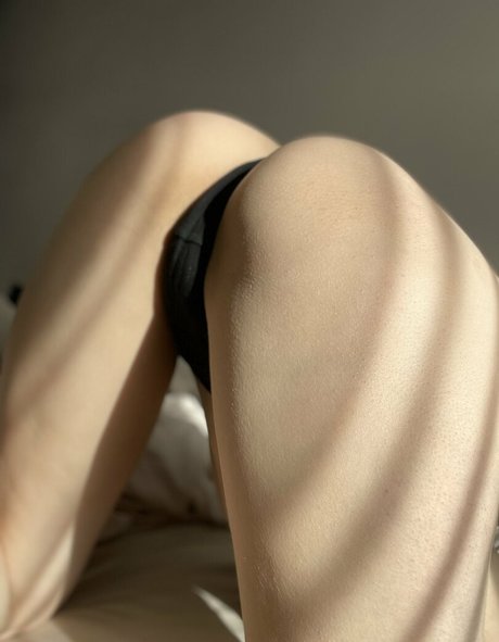 liefhebbers12 top pornstar galleries