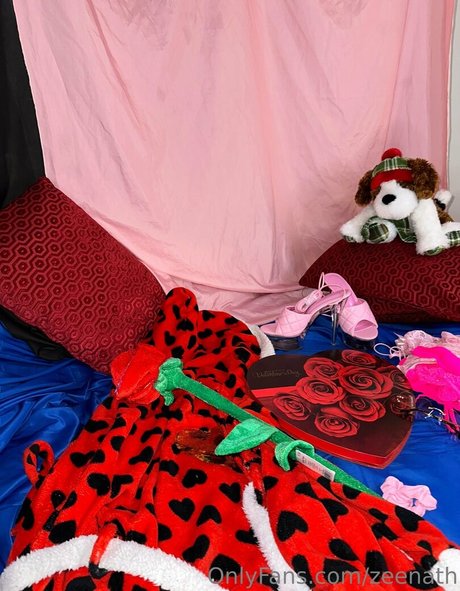 zeenath pornstar nice img